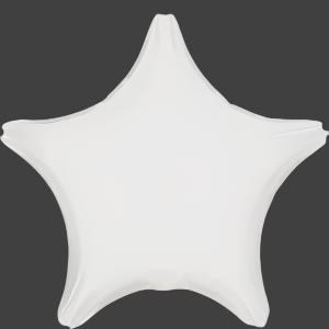 Single Anagram Opaque White Star 19"