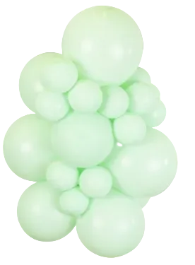 Kalisan Pastel Matte Macaron Green By Singles